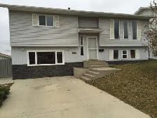Newer ground level basement suite available August 1, 2026
