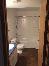 Newer ground level basement suite available August 1, 2026 - Photo 7