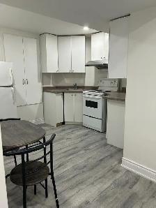 1-bedroom basement apartment