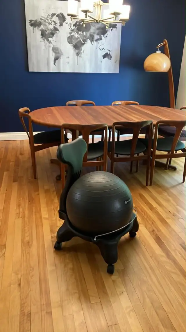 Chaise ballon d'équilibre Gaiam / chaise de bureau / chaise d'ex