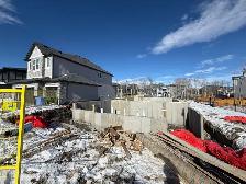 residential Cribber - Photo 3