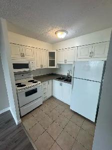 1 Bedroom Riverview Condo - Photo 7