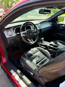 2009 Ford Mustang V6 – Ready for Summer! Exceptional Condition - Photo 3