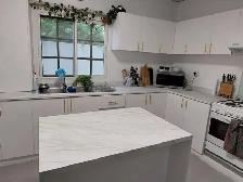 QUARTZ COUNTERTOP SUMMER SALE – Starting at Unbeatable Prices! - Photo 3