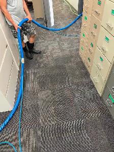 Expert Carpet Rug Sofa & Post Renovation Cleaning - Wall Washing - Photo 3