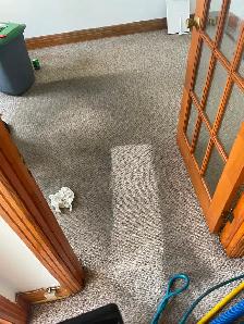 Expert Carpet Rug Sofa & Post Renovation Cleaning - Wall Washing - Photo 7