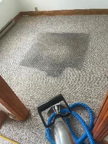 Expert Carpet Rug Sofa & Post Renovation Cleaning - Wall Washing - Photo 8
