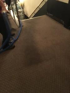 Expert Carpet Rug Sofa & Post Renovation Cleaning - Wall Washing - Photo 10