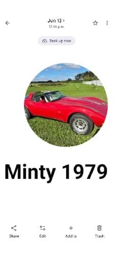 1979 Corvette