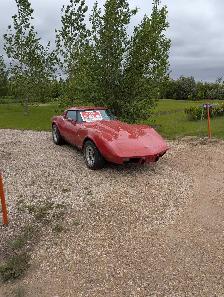 1979 Corvette - Photo 2