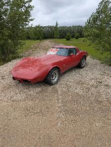 1979 Corvette - Photo 3