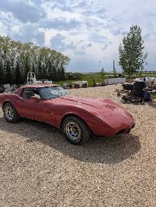 1979 Corvette - Photo 5