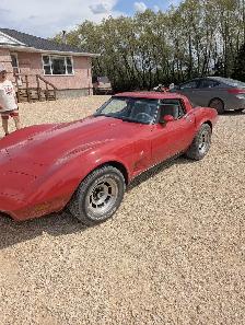 1979 Corvette - Photo 6