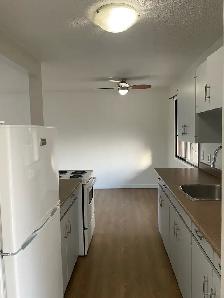 Large 2-Bdrm Downtown Penticton - Long Term - Photo 4