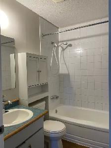 Large 2-Bdrm Downtown Penticton - Long Term - Photo 5