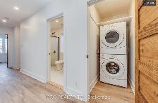 Female Roommate Wanted! Kenilworth Ave / The Beaches - Photo 6