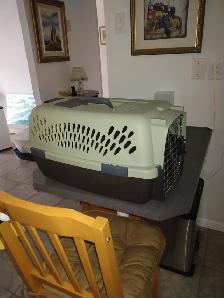CAGE DE TRANSPORT POUR ANIMAUX (GRANBY) - Photo 2