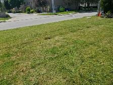 Luxury SW upper private 2bd in 4plex - July 1st - Photo 18