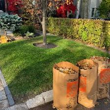 yardwork