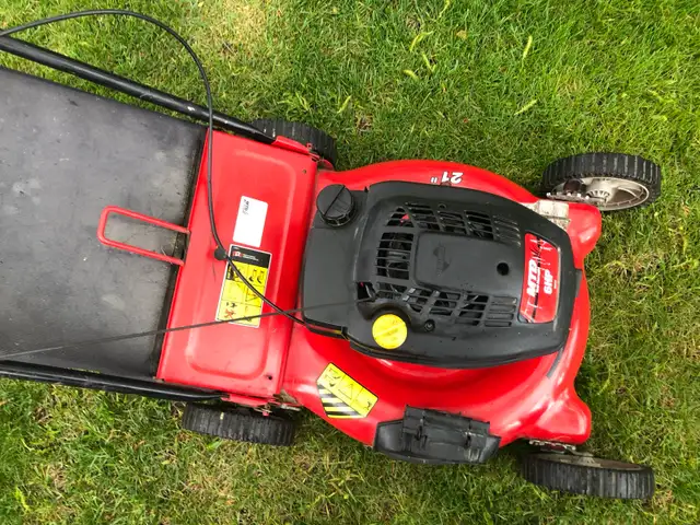 lawnmower gas