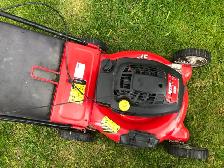 lawnmower gas