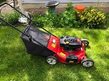 lawnmower gas - Photo 3