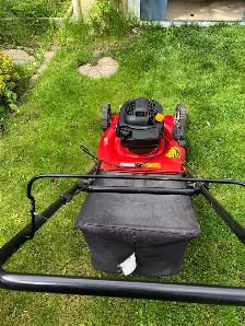 lawnmower gas - Photo 4