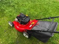 lawnmower gas - Photo 5