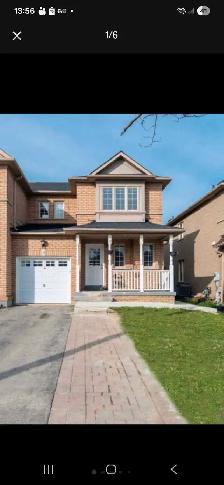 One Room to Rent in Brampton: Dixie and Sandalwood - Photo 7