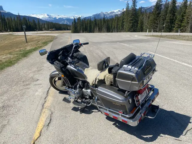 1982 Honda Goldwing 1100