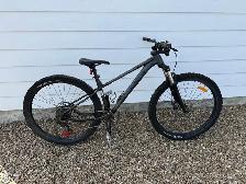 Rocky Mountain Growler 20