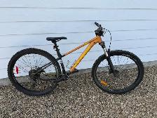 Rocky Mountain Growler 20 - Photo 2