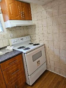 2 Bedrooms BSMT Apt. with Sep. ENT. Available for $1800.00 - Photo 4