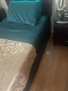 bachelor for rent