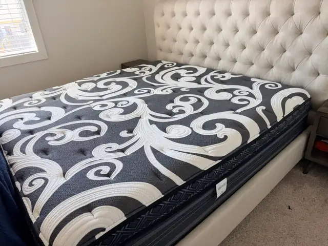 The Simmons Beautyrest Black Celebration Mattress