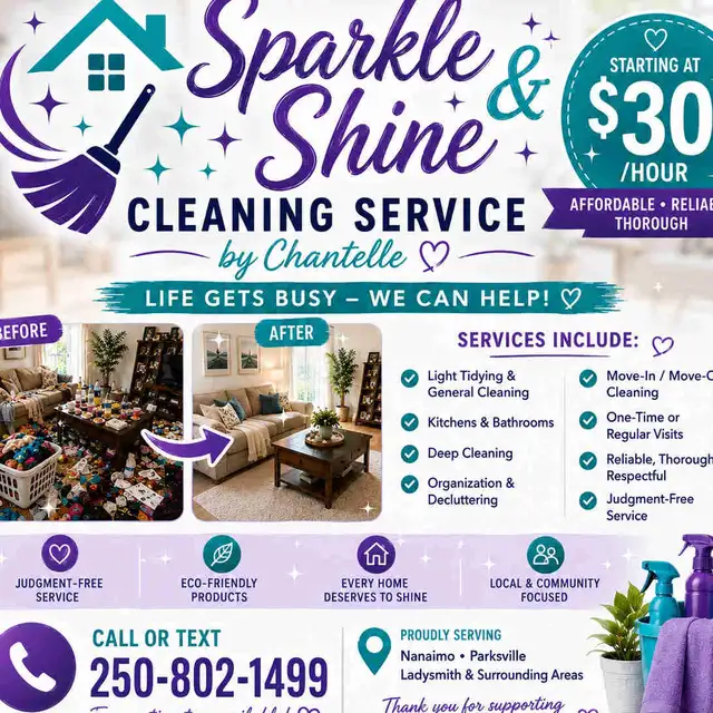cleaning service