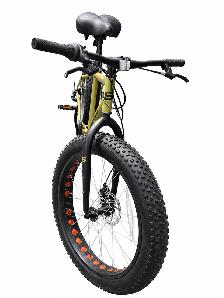Supercycle Fat Bike