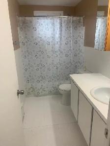 Logement rénové sur 2 étages avec 2 sdb, cour/2 stationnements - Photo 9