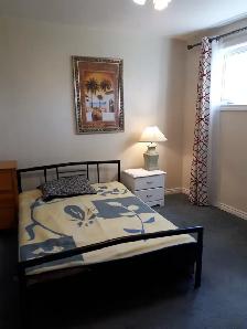 First Floor Furnished Spacious Room,  Close to Port Union & 401 - Photo 6