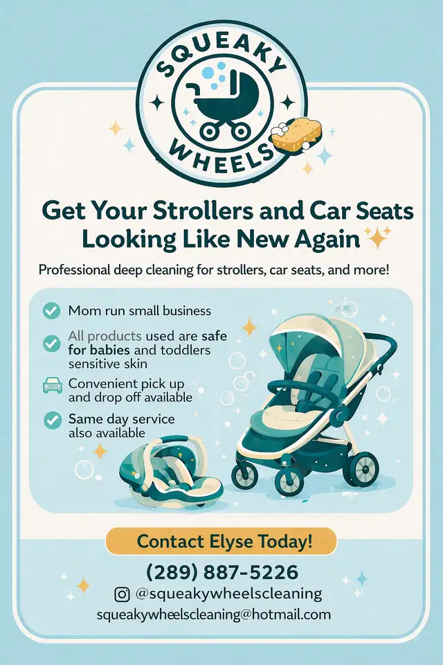 Stroller and Car Seat Cleaning