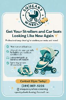 Stroller and Car Seat Cleaning
