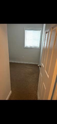 2 Bedroom Apartment for Rent –  Hamilton – $2,000/Mo - Photo 5