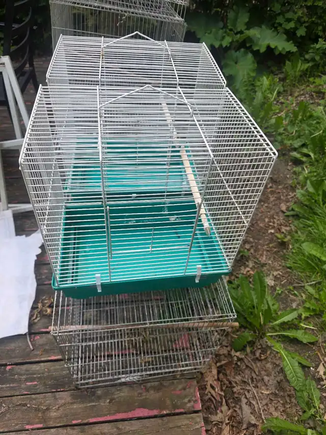 cages speciaux