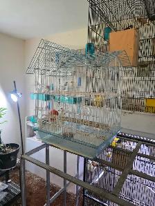 cages speciaux - Photo 2