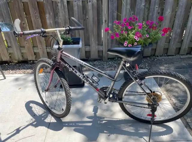 Raleigh Women’s Bicycle