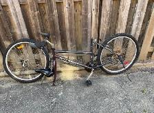 Raleigh Women’s Bicycle - Photo 2