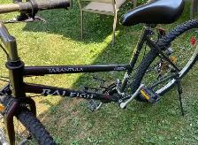 Raleigh Women’s Bicycle - Photo 3