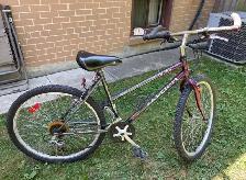 Raleigh Women’s Bicycle - Photo 4