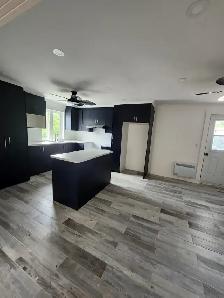 4 1/2 Rénové haut triplex Libre maint ou juillet Honor.Beaugrand - Photo 3
