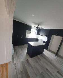 4 1/2 Rénové haut triplex Libre maint ou juillet Honor.Beaugrand - Photo 5